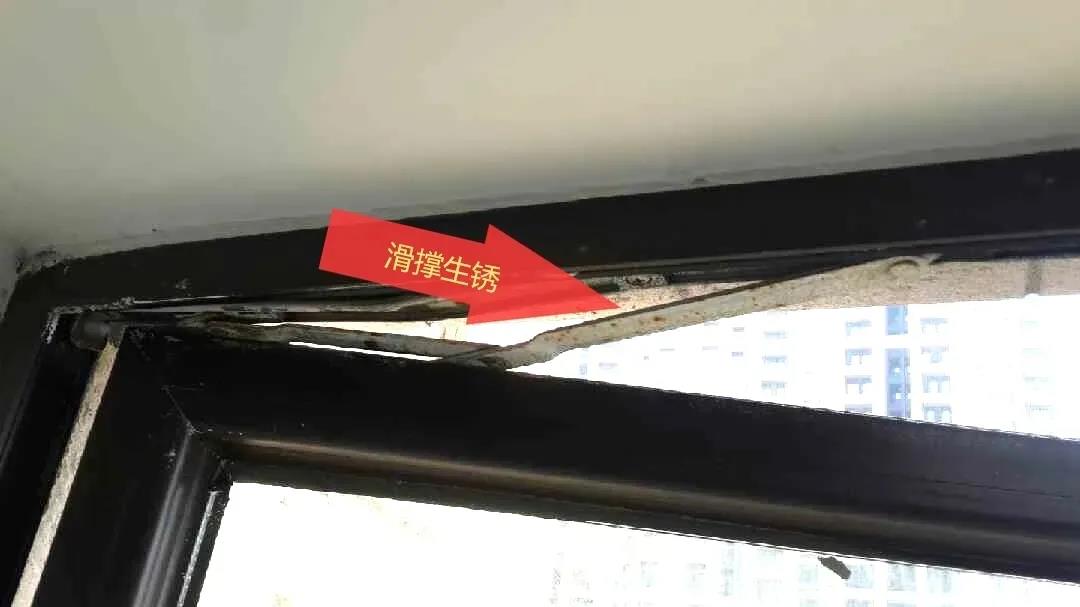 1608116554417924.jpg 微信圖片_20201216185946.jpg