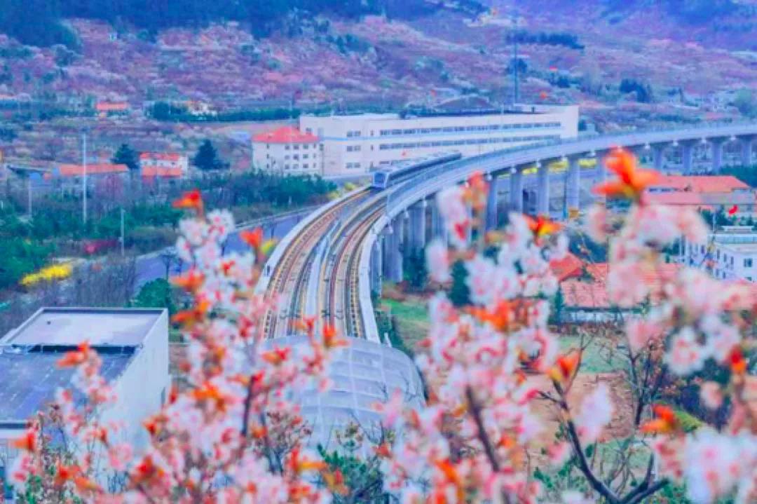 1617185851399894.jpg 微信圖片_20210331181423.jpg